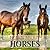 Learn about Horses: Horses for Kids [animal picture book for kids]