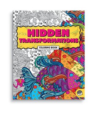Hidden Transformations (Paperback)