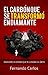 El Carbón que se Transformó en Diamante: Descubre la senda que te llevará al éxito (Spanish Edition)