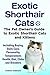 Exotic Shorthair Cats by Colette Anderson