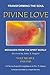 Divine Love: Transforming the Soul: Volume Five
