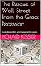The Rescue of Wall Street F...