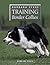 Barbara Sykes' Training Border Collies