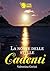 La notte delle stelle cadenti