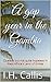 A gap year in the Gambia: C...