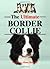 The Ultimate Border Collie