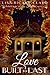 Love Built to Last: Fireflies ~ Book 1