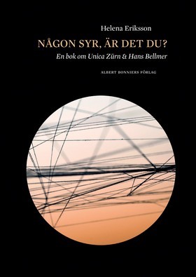 Någon syr, är det du? : en bok om Unica Zürn och Hans Bellme