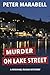 Murder on Lake Street