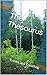 The Thesaurus: Troves and T...
