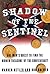 Shadow of the Sentinel: One Man's Quest to Find the Hidden Treasure of the Confederacy