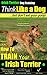 Irish Terrier Dog Training | Think Like a Dog, But Don’t Eat Your Poop!: Here's EXACTLY How to Train Your Irish Terrier