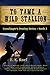 To Tame A Wild Stallion (Gunslinger's Destiny #2)
