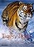 Tiger, Tiger by Karine Lou Matignon