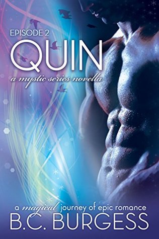Quin 2 (Kindle Edition)