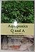 Aquaponics Q and A (The Answers to Your Questions About Aquaponics)