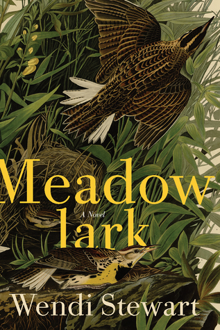 Meadowlark (Paperback)