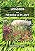 Grasses: Design & Plant