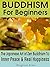 Buddhism: Buddhism For Begi...