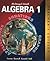 McDougal Littell Algebra 1: Applications, Equations, Graphs, Teacher's Edition