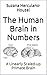 The Human Brain in Numbers: A Linearly Scaled-up Primate Brain