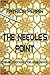 The Needle's Point (A Virginia Star Investigation Book 1)