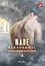 Nähe (Bay City Paranormal I...