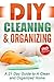 DIY Cleaning and Organizing by Jesse  Jacobs