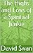 The Highs and Lows of a Spiritual Junkie by David Swan