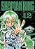 Shaman King #12