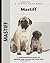 Mastiff: A Comprehensive Gu...