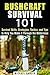 Bushcraft Survival 101