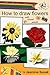 How to Draw Flowers by Jasmina Susak