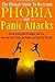 The Ultimate Guide To Overcome Phobia And Panic Attacks: Proven Strategy How To Conquer Your Fear, Overcome Panic Attacks and Phobias And Take Back Your ... anxiety disorder, panic disorder Book 1)