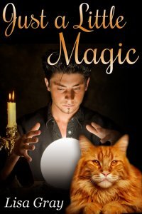 Just a Little Magic (Paperback)
