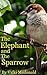 The elephant and the sparrow (Book #9): children stories with moral lessons (children stories with moral lessons,moral stories for kids, bedtime stories,dreaming, ... bedtime stories,dreaming, children books))
