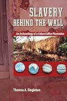 Slavery behind the Wall by Theresa A. Singleton