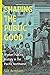 Shaping the Public Good: Wo...