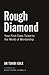 Rough Diamond: Your First-Class Ticket to the World of Mentorship