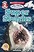 Icky Sticky: Super Sharks (Scholastic Reader, Level 2)