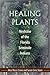 Healing Plants: Medicine of the Florida Seminole Indians