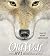Old Wolf