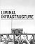 Liminal Infrastructure: The Optics Division of the Metabolic Studio
