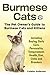 Burmese Cats: The Pet Owner...