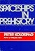 Spaceships in Prehistory by Peter Kolosimo