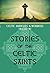 Celtic Miracles & Wonders Volume VI by Meg Llewellyn