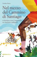 nel mezzo del Cammino di Santiago