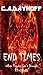 End Times: When Praying isn't Enough (Thriller Book 1)