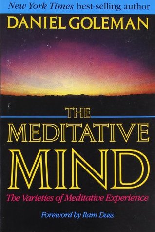 The Meditative Mind: The Varieties of Meditative Experience (Paperback)