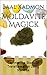 Moldavite Magick: Tap Into The Stone Of Transformation Using Mantras (Crystal Mantra Magick Book 1)